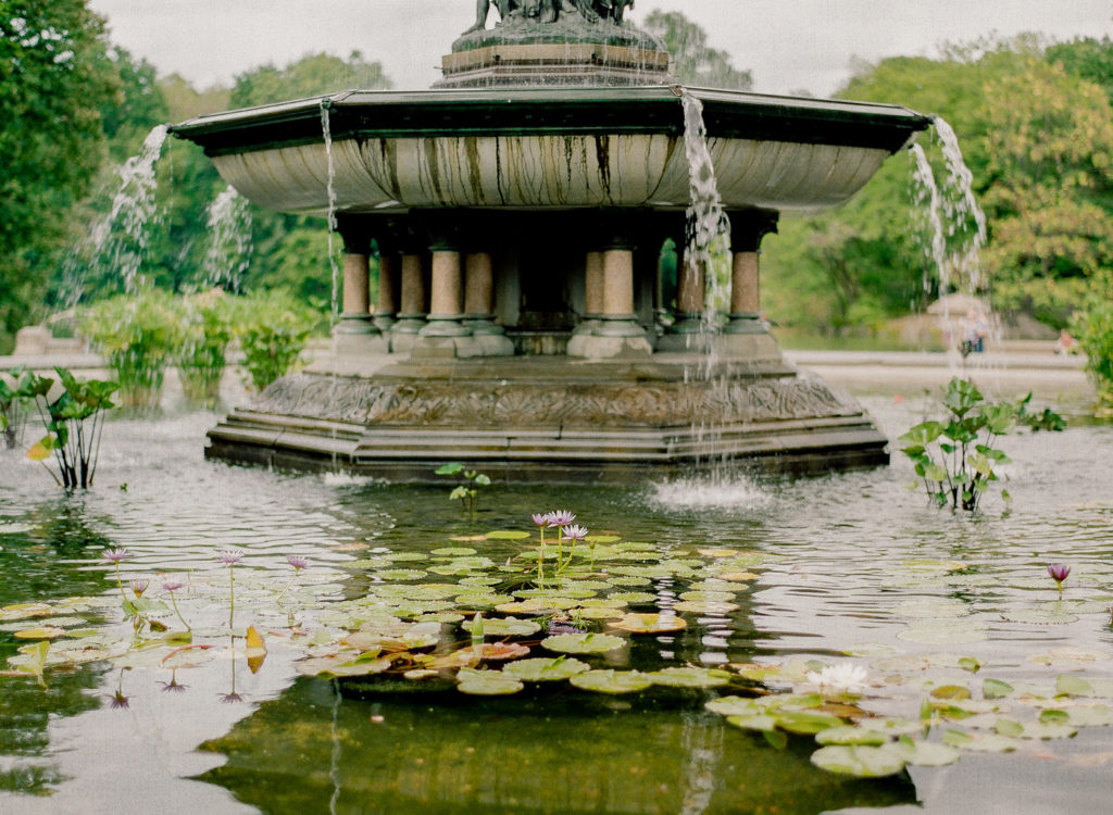 Lily pads in the water surrounding Bethesda Fountain in Central Park in the spring during engagement photos in NYC by You Look Lovely Photography